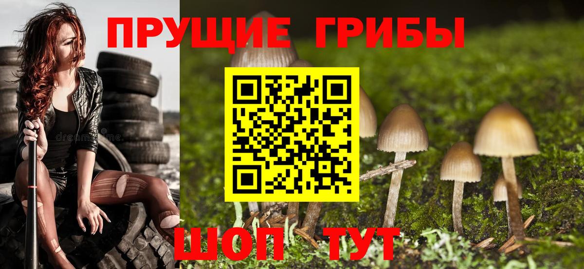 Псилоцибиновые грибы MAGIC MUSHROOMS  Вход с VPN  Галлюциногенные грибы Magic Shrooms  Кемерово 