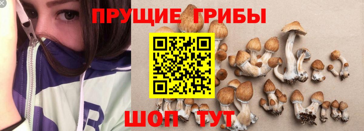 Галлюциногенные грибы прущие грибы Кемерово